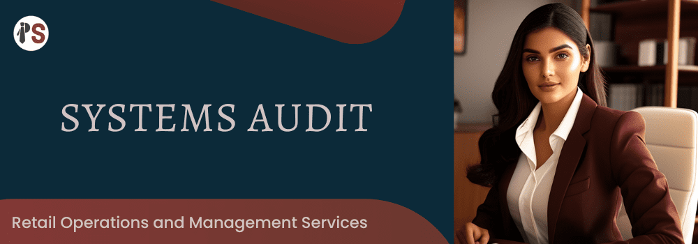 https://professionalsaathi.com/Systems Audit